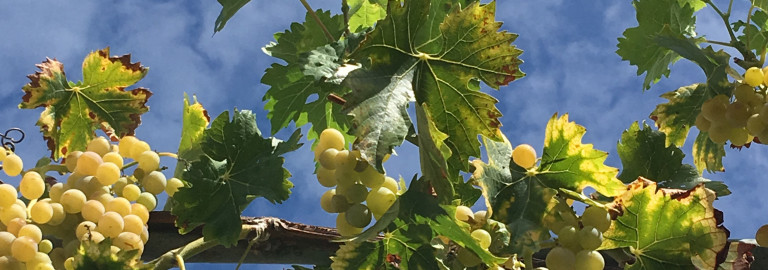 Herbstausflug